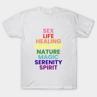 Meaning of Rainbow Pride Flag Colors T-Shirt